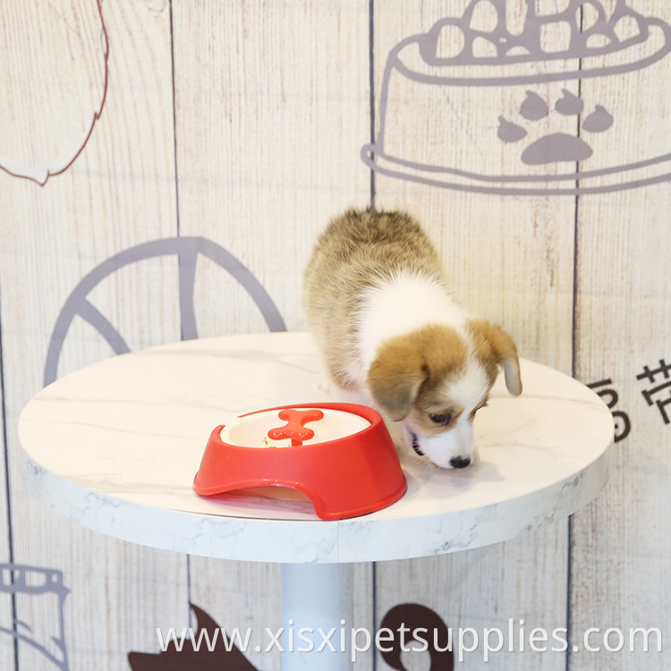 Wholesale Slow Feeder Dog Bowl OEM Pet Feeding Bowl Quality Slow Eating Dog Bowl